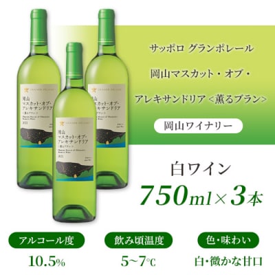 グランポレール 薫るブラン 白ワイン 750ml 3本[NO5765-1111] 
