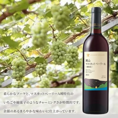 グランポレール 岡山マスカットベーリーA 樽熟成 赤 750ml 3本[NO5765-1112] 