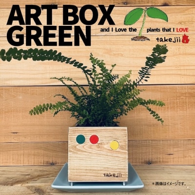 インテリア ART BOX GREEN / 001(〇) アートボックス[NO5765-1125] 