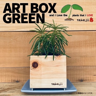 インテリア ART BOX GREEN / 003(木目)アートボックス[NO5765-1127] 