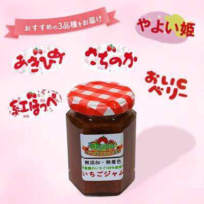 いちごバター と ジャム 2種 ※ジャム2種の選定お任せ いちご [NO5765-1119]