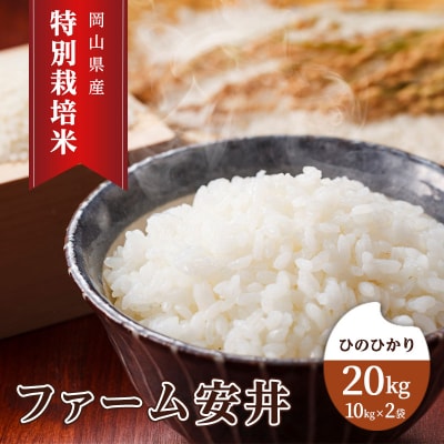 お米 特別栽培米 ひのひかり 20kg(10kg×2袋) 米 白米 [NO5765-1148] 