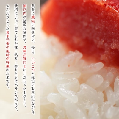 お米 特別栽培米 ひのひかり 20kg(10kg×2袋) 米 白米 [NO5765-1148] 