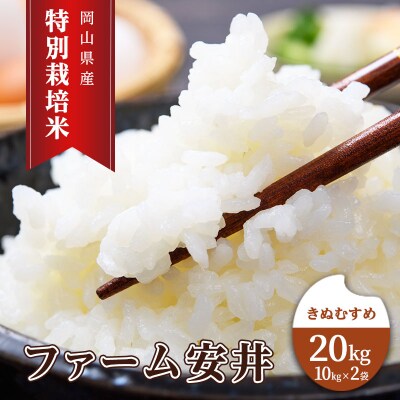 お米 特別栽培米 きぬむすめ 20kg(10kg×2袋) 米 白米 [NO5765-1149] 
