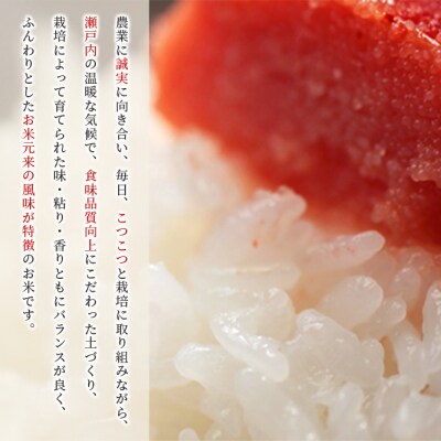 お米 特別栽培米 きぬむすめ 20kg(10kg×2袋) 米 白米 [NO5765-1149] 