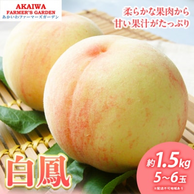桃 2025年 先行受付 白桃 白鳳 約1.5kg 5～6玉 もも 岡山[NO5765-1164] 