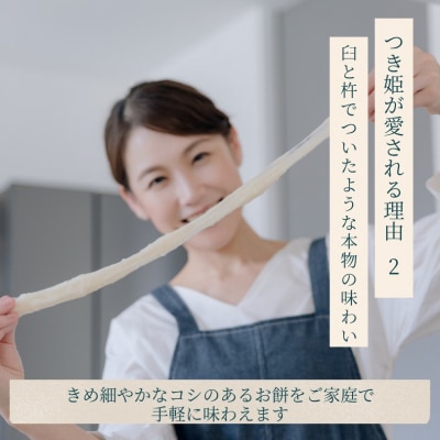 みのる産業 3合餅つき機 つき姫 リッチブラック 餅つき機 ブラック[NO5765-1179] 