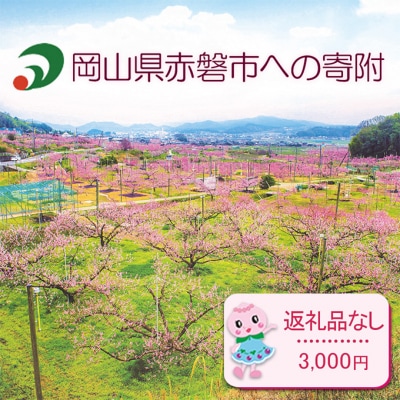 【返礼品なしの寄付】岡山県 赤磐市(1口:3,000円) [NO5765-1153] 