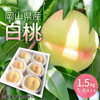 もも 2025年 岡山県産 白桃 1.5kg  (5玉～6玉入り) [NO5765-1174] 