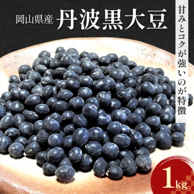 岡山県産 丹波黒大豆 1kg 黒大豆 岡山 赤磐市 [NO5765-1175] 