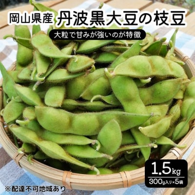 豆 2025年 先行受付 岡山県産 丹波黒大豆の枝豆 1.5kg  [NO5765-1176] 