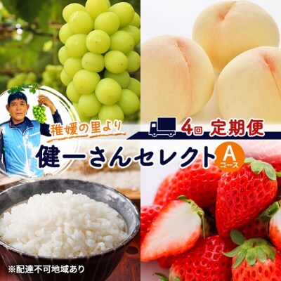 フルーツ 米 稚媛の里より 健一さんセレクト 4回コース 定期便 A [NO5765-1182]