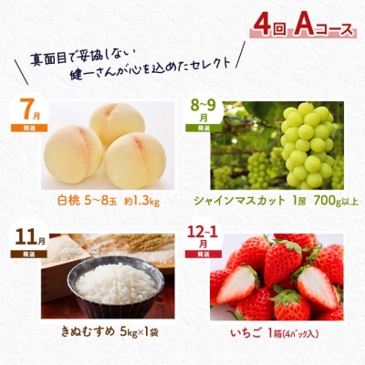 フルーツ 米 稚媛の里より 健一さんセレクト 4回コース 定期便 A [NO5765-1182]