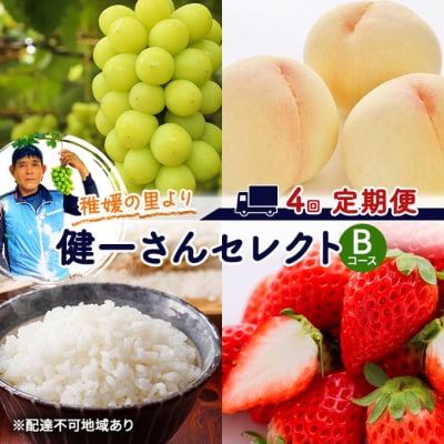 フルーツ 米 稚媛の里より 健一さんセレクト 4回コース 定期便 B [NO5765-1183]