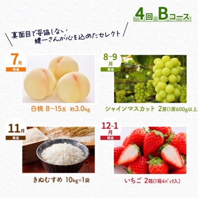 フルーツ 米 稚媛の里より 健一さんセレクト 4回コース 定期便 B [NO5765-1183]
