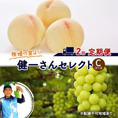フルーツ 米 稚媛の里より 健一さんセレクト 2回コース 定期便 C [NO5765-1184]