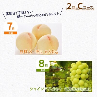 フルーツ 米 稚媛の里より 健一さんセレクト 2回コース 定期便 C [NO5765-1184]