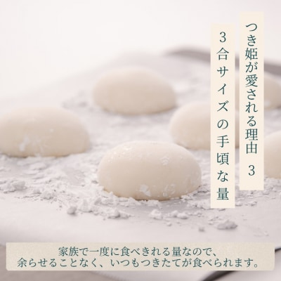 みのる産業 3合餅つき機 つき姫 リッチホワイト 餅つき機 ホワイト [NO5765-1185]