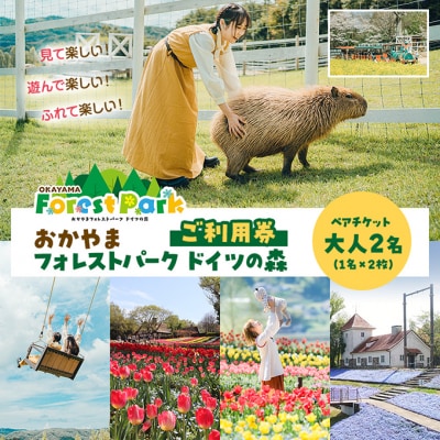 おかやまフォレストパーク ドイツの森 大人2名(1名×2枚) 利用券 [NO5765-1188] 