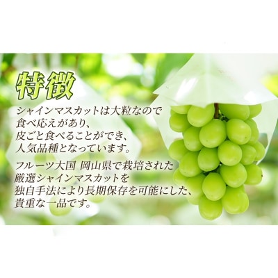 贈答用 岡山県産 シャインマスカット 2房 約1.3kg以上 ぶどう [NO5765-1195] 