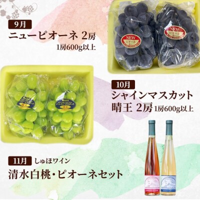 ドイツの森 是里ワイナリーと岡山の果物を堪能! 定期便 5回コース[NO5765-1205]