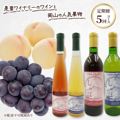 ワインと岡山の人気果物 コラボ定期便  厳選5回コース[NO5765-1207]