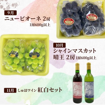 ドイツの森 是里ワイナリーのお酒と岡山の果物を堪能!定期便 5回コース [NO5765-1206]