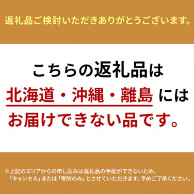 白桃 3玉 計670g以上 ラ・ペーシュ黄金桃 500ml 1本セット[NO5765-1226]