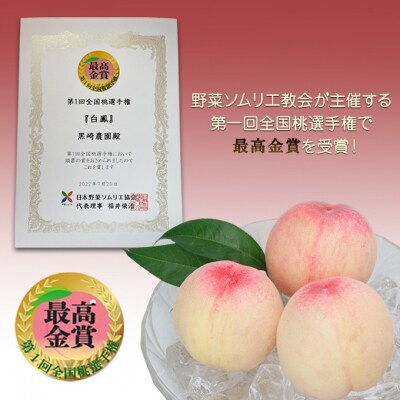 白桃 3玉 計670g以上 ラ・ペーシュ黄金桃 500ml 1本セット[NO5765-1226]