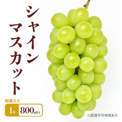 シャインマスカット 1房 800g以上 桐箱入り[NO5765-1128]