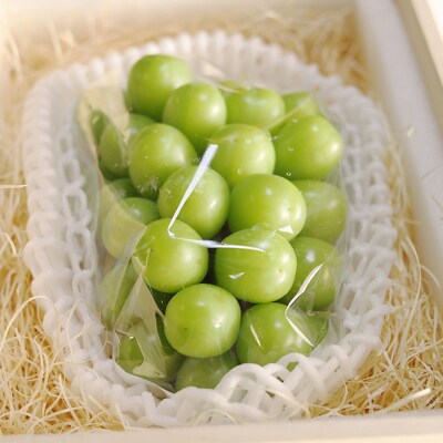 2026年 シャインマスカット 1房 800g以上 桐箱入り[NO5765-1128]