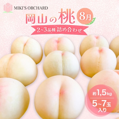 桃 【訳あり 2級品】 2027年 先行予約 8月の桃 詰め合わせ[NO5765-1246]