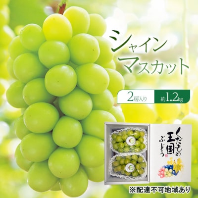 ぶどう 2025年 先行予約 シャインマスカット 2房入り 約1.2kg[NO5765-1196]