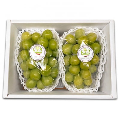 ぶどう 2026年 先行予約 シャインマスカット 2房入り 約1.2kg[NO5765-1196]