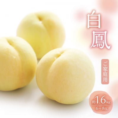 桃 2026年 数量限定 白桃 白鳳 約1.6kg 6～8玉[NO5765-1270]