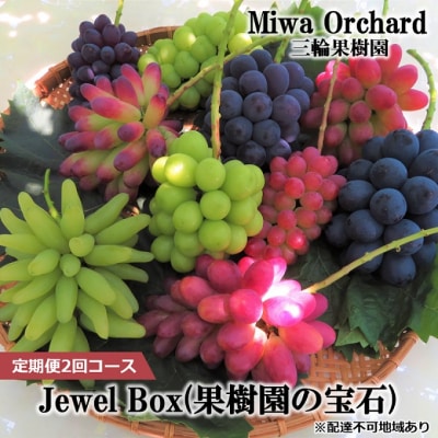 ジュエルボックス 皮ごと食べられる 葡萄 4～5品種 定期便 2026年 [NO5765-1240]