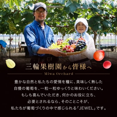 ジュエルボックス 皮ごと食べられる 葡萄 4～5品種 定期便 2026年 [NO5765-1240]