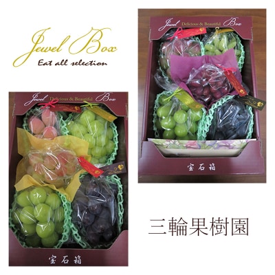ジュエルボックス 皮ごと食べられる 葡萄 4～5品種 定期便 2026年 [NO5765-1240]