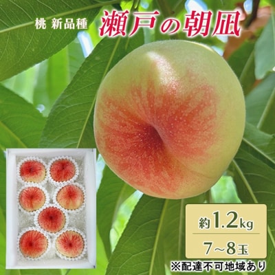 桃 2025年 先行受付 瀬戸の朝凪 KU-PP1 約1.2kg 7～8玉[NO5765-1241]