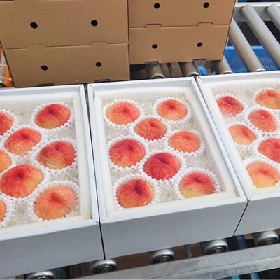 桃 2026年 先行受付 瀬戸の朝凪 KU-PP1 約1.2kg 7～8玉[NO5765-1241]