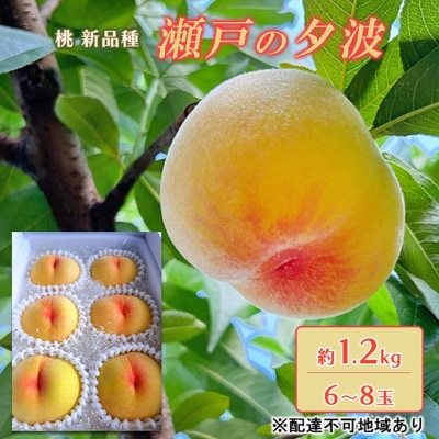 桃 2026年 先行受付 瀬戸の夕波 KU-PP2 約1.2kg 6～8玉[NO5765-1242]