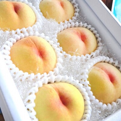 桃 2026年 先行受付 瀬戸の夕波 KU-PP2 約1.2kg 6～8玉[NO5765-1242]