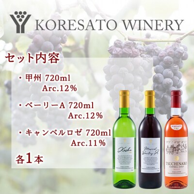 ワイン 果実酒 甲州  ベーリーA キャンベルロゼ 720ml　各1本[NO5765-1252]