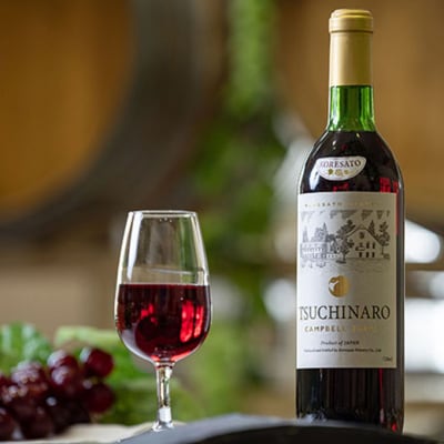 是里 ワイン 果実酒 キャンベル赤 甲州 720ml 各1本[NO5765-1257]