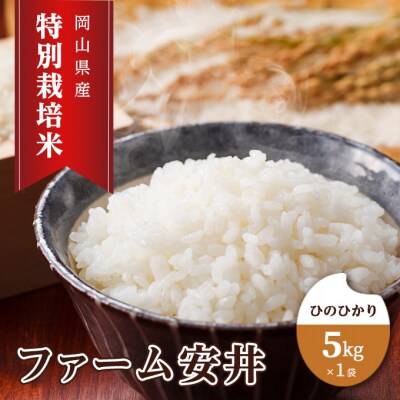 【2025年11月～発送予定】 特別栽培米 ひのひかり 5kg×1袋[NO5765-1238]