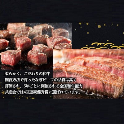 ステーキ 奈義和牛  ヒレステーキ 450g[NO5765-1289]