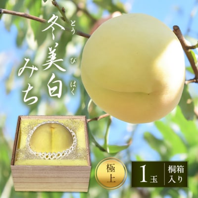 桃 2026年 先行受付 白桃 冬美白 とうびはく 極上1玉 「みち」[NO5765-1243] 