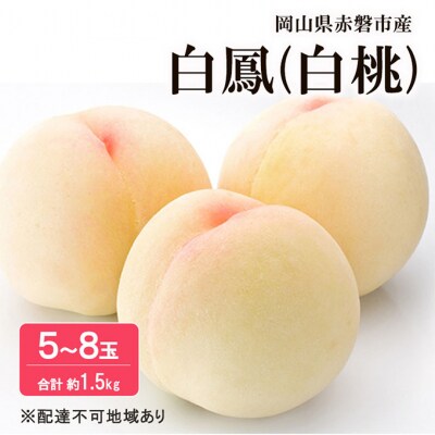 桃 2026年 先行受付 白桃 白鳳 約1.5kg 5～8玉 フルーツ [NO5765-1282]