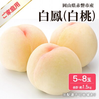 桃 2025年 先行受付 白桃 白鳳 約1.5kg 5～8玉 ご家庭用 [NO5765-1283]