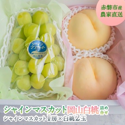 シャインマスカット 大房 1房 白桃 2玉 詰合せ 合計約1.3kg  [NO5765-1304]